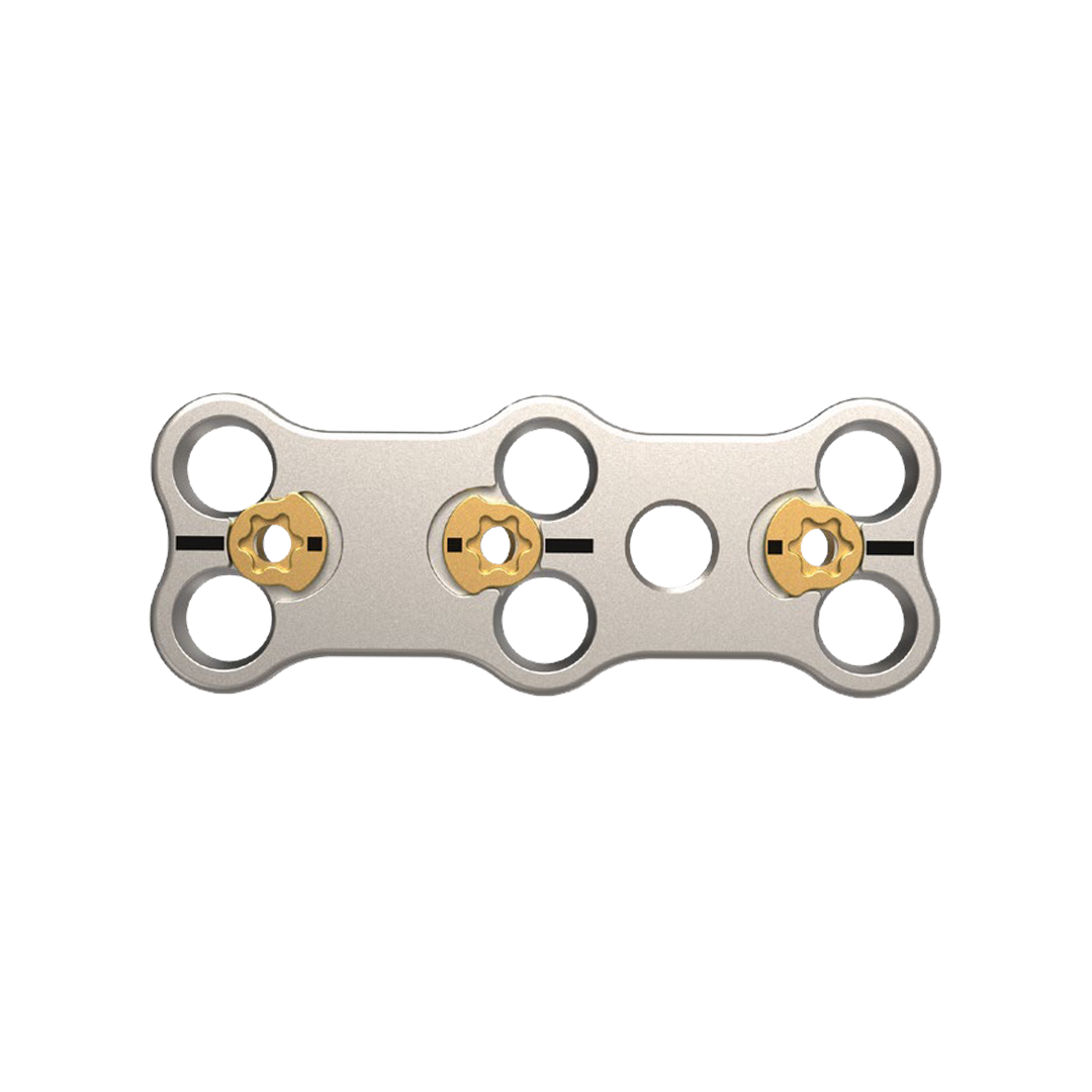 ReBorn Essence Anterior Cervical Plate System